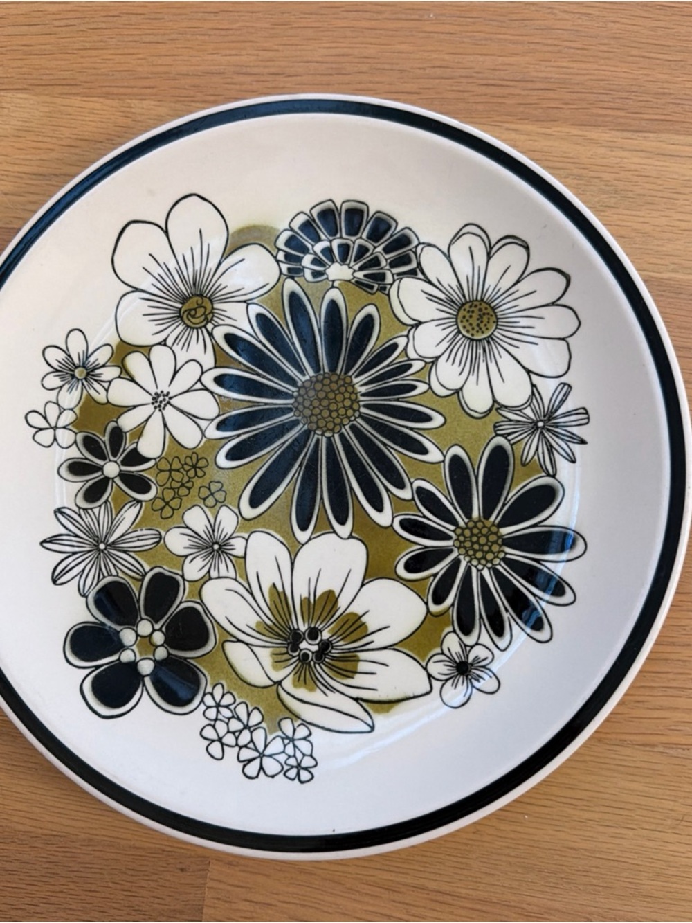 MIKASA LEILANI 3165 CERA-STONE 10.5" Dinner Plates Japan Great Condition 1970s